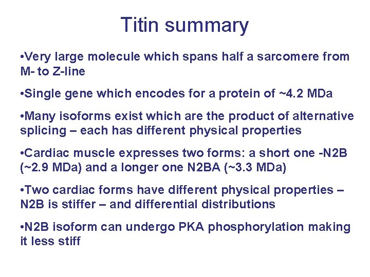 Titin summary • Very large molecule which spans half a sarcomere from M- to