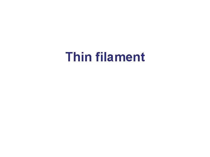 Thin filament 