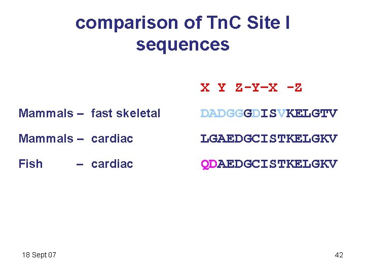 comparison of Tn. C Site I sequences X Y Z-Y–X -Z Mammals – fast