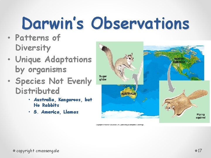 Darwin’s Observations • Patterns of Diversity • Unique Adaptations by organisms • Species Not
