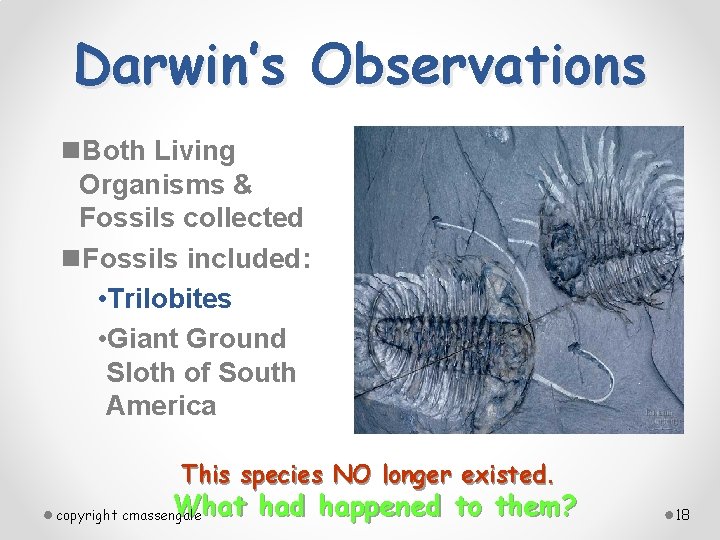 Darwin’s Observations n. Both Living Organisms & Fossils collected n. Fossils included: • Trilobites