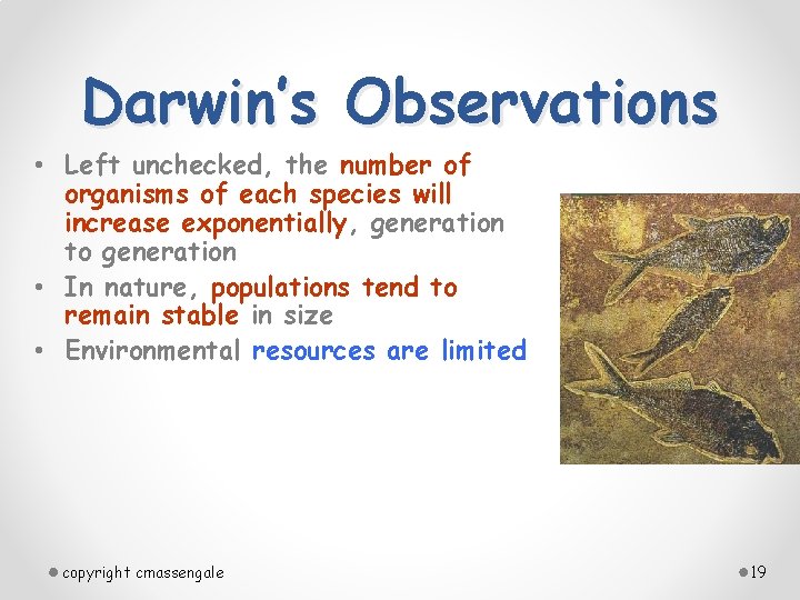 Darwin’s Observations • Left unchecked, the number of organisms of each species will increase