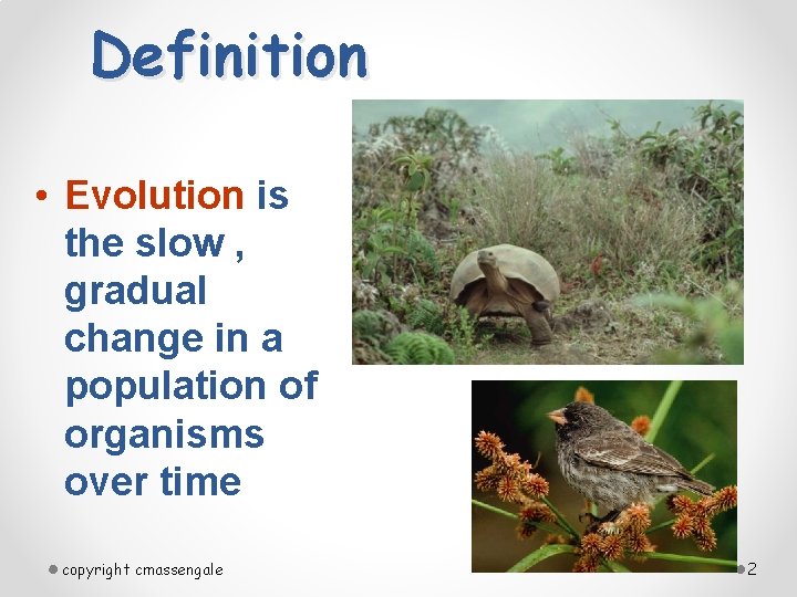 Definition • Evolution is the slow , gradual change in a population of organisms