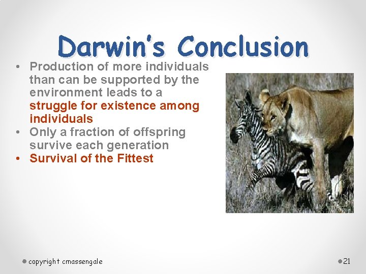  • Darwin’s Conclusion Production of more individuals than can be supported by the