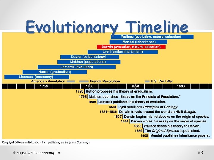 Evolutionary Timeline copyright cmassengale 3 