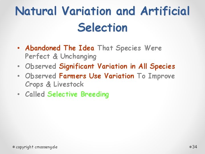 Natural Variation and Artificial Selection • Abandoned The Idea That Species Were Perfect &
