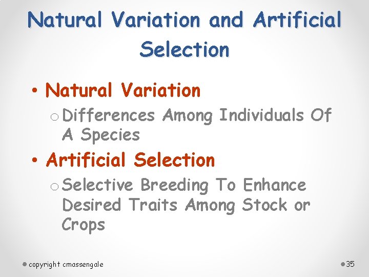 Natural Variation and Artificial Selection • Natural Variation o Differences Among Individuals Of A