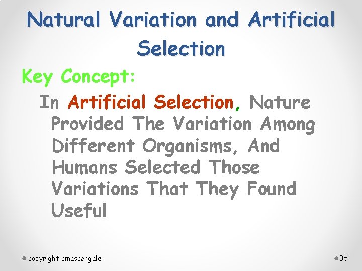 Natural Variation and Artificial Selection Key Concept: In Artificial Selection, Nature Provided The Variation