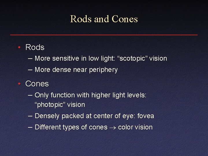 Rods and Cones • Rods – More sensitive in low light: “scotopic” vision – Rods and Cones • Rods – More sensitive in low light: “scotopic” vision –