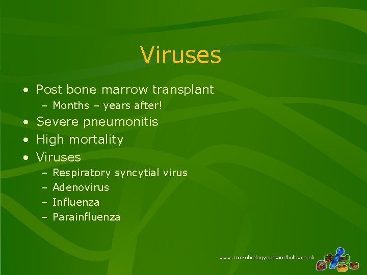 Viruses • Post bone marrow transplant – Months – years after! • Severe pneumonitis