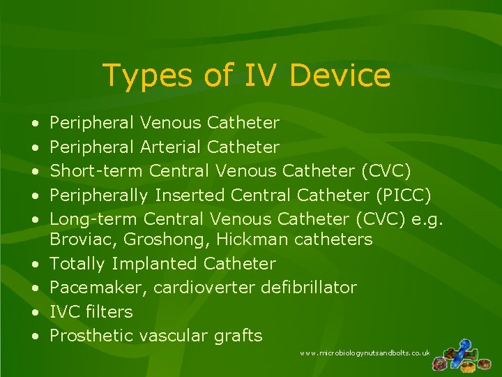 Types of IV Device • • • Peripheral Venous Catheter Peripheral Arterial Catheter Short-term