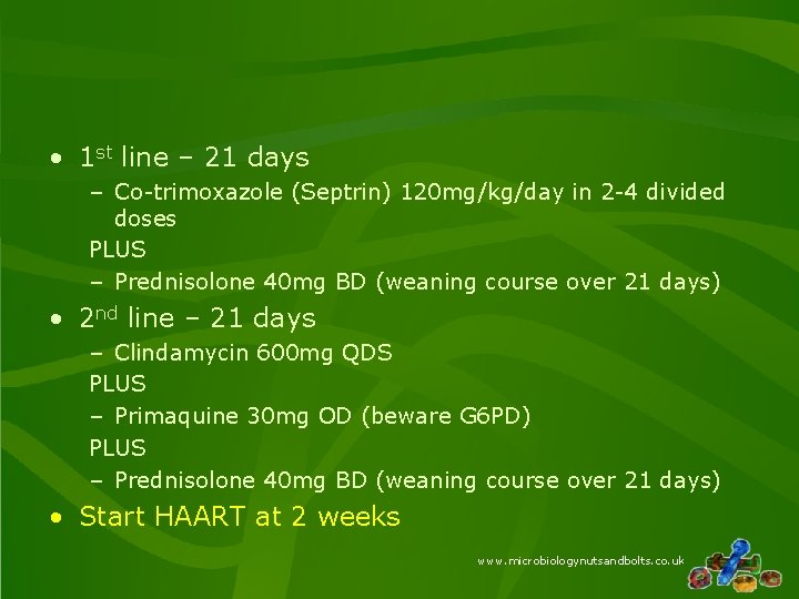  • 1 st line – 21 days – Co-trimoxazole (Septrin) 120 mg/kg/day in