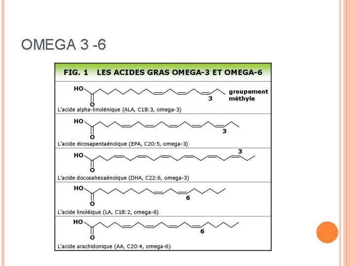 OMEGA 3 -6 