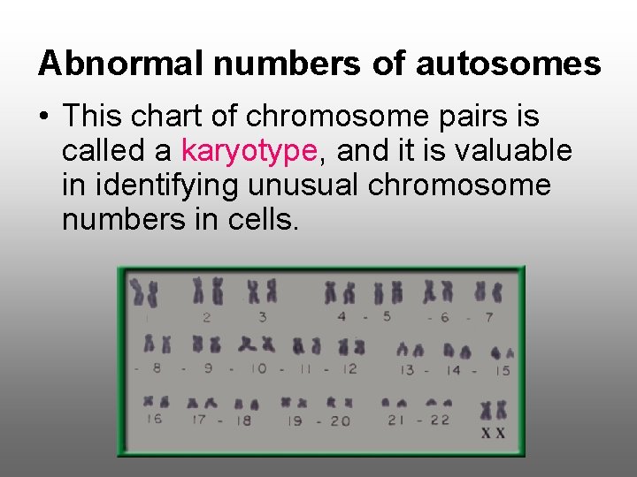 Abnormal numbers of autosomes • This chart of chromosome pairs is called a karyotype,