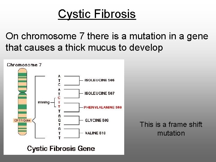 Cystic Fibrosis On chromosome 7 there is a mutation in a gene that causes