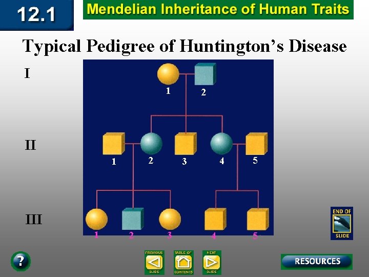 Typical Pedigree of Huntington’s Disease I 1 2 II 2 1 4 3 5