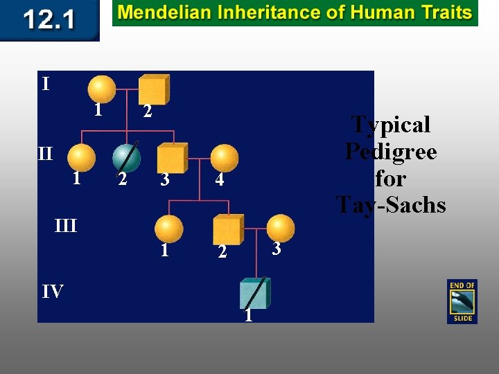 I 1 2 Typical Pedigree for Tay-Sachs II 1 2 3 4 1 2