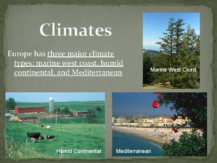 Climates Europe has three major climate types: marine west coast, humid continental, and Mediterranean Climates Europe has three major climate types: marine west coast, humid continental, and Mediterranean