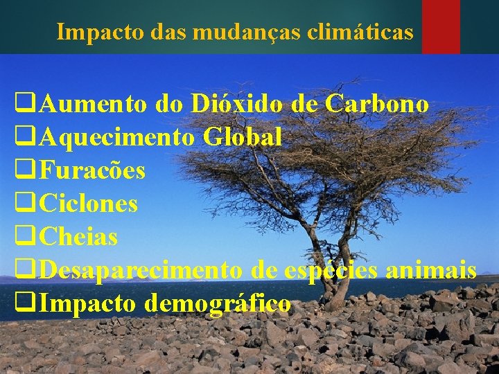 Impacto das mudanças climáticas q. Aumento do Dióxido de Carbono q. Aquecimento Global q.