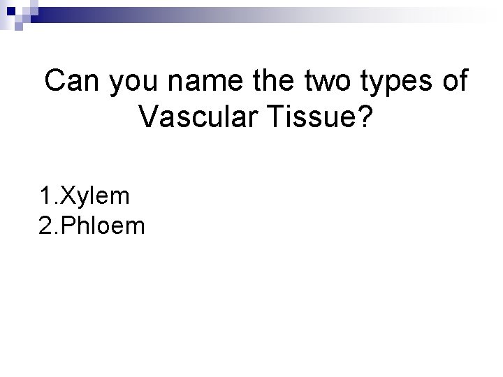 Can you name the two types of Vascular Tissue? 1. Xylem 2. Phloem 