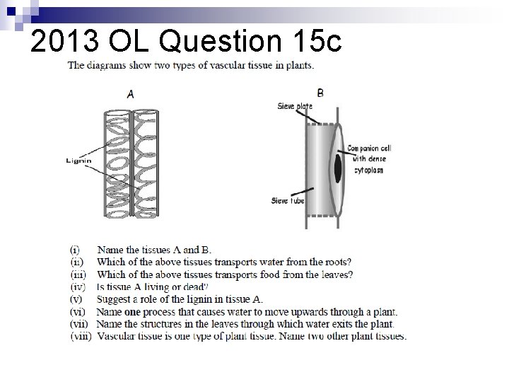 2013 OL Question 15 c 