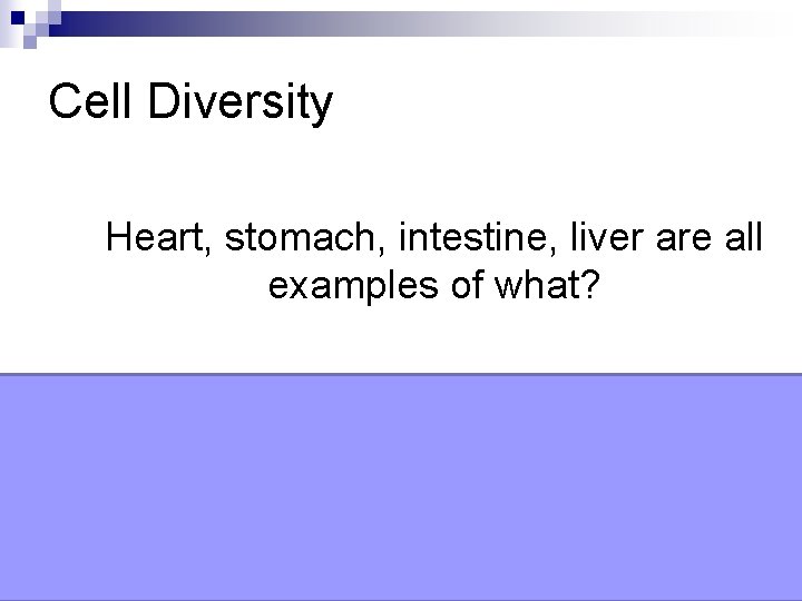 Cell Diversity Heart, stomach, intestine, liver are all examples of what? Organs 