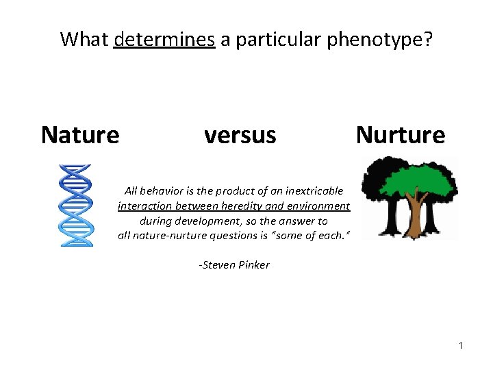 What determines a particular phenotype? Nature versus Nurture All behavior is the product of