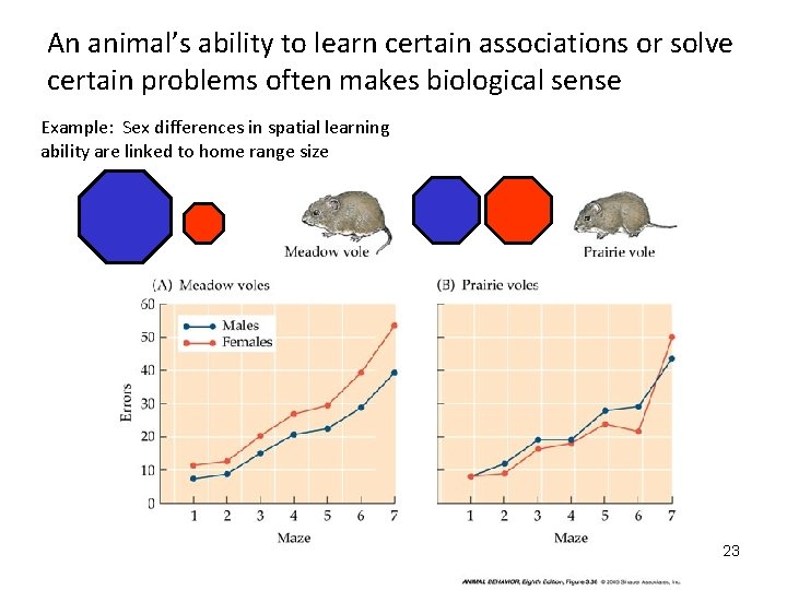 An animal’s ability to learn certain associations or solve certain problems often makes biological