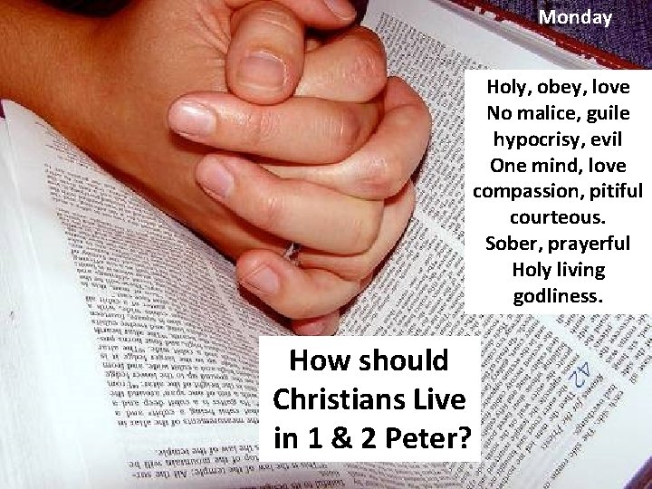 Monday Holy, obey, love No malice, guile hypocrisy, evil One mind, love compassion, pitiful Monday Holy, obey, love No malice, guile hypocrisy, evil One mind, love compassion, pitiful