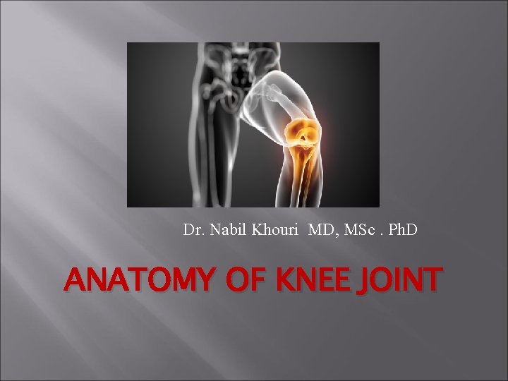 Dr. Nabil Khouri MD, MSc. Ph. D ANATOMY OF KNEE JOINT 