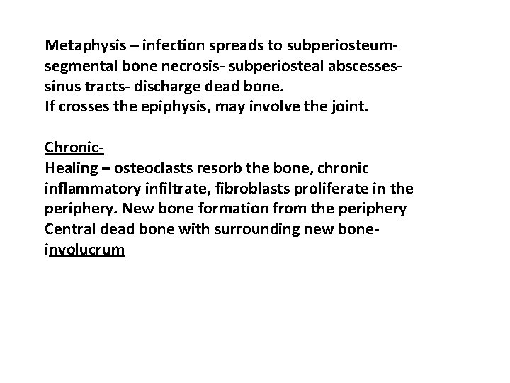 Metaphysis – infection spreads to subperiosteumsegmental bone necrosis- subperiosteal abscessessinus tracts- discharge dead bone.