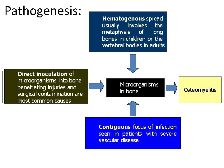 Pathogenesis: Direct inoculation of microorganisms into bone penetrating injuries and surgical contamination are most