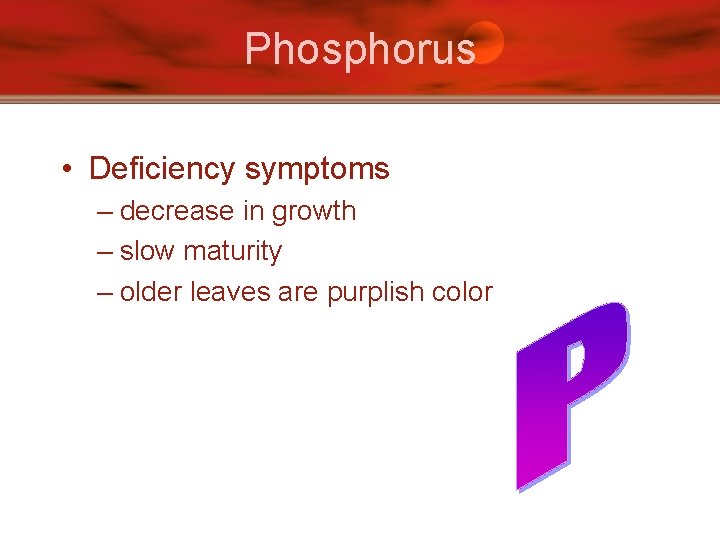 Phosphorus • Deficiency symptoms – decrease in growth – slow maturity – older leaves