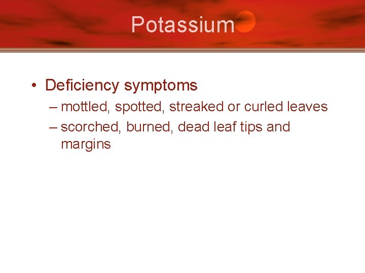 Potassium • Deficiency symptoms – mottled, spotted, streaked or curled leaves – scorched, burned,