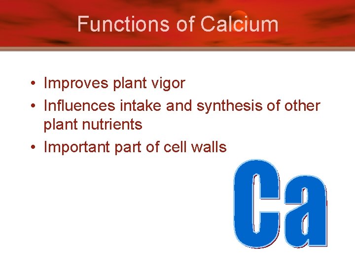 Functions of Calcium • Improves plant vigor • Influences intake and synthesis of other