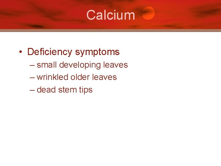 Calcium • Deficiency symptoms – small developing leaves – wrinkled older leaves – dead