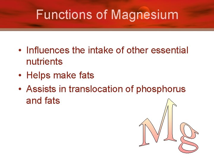 Functions of Magnesium • Influences the intake of other essential nutrients • Helps make