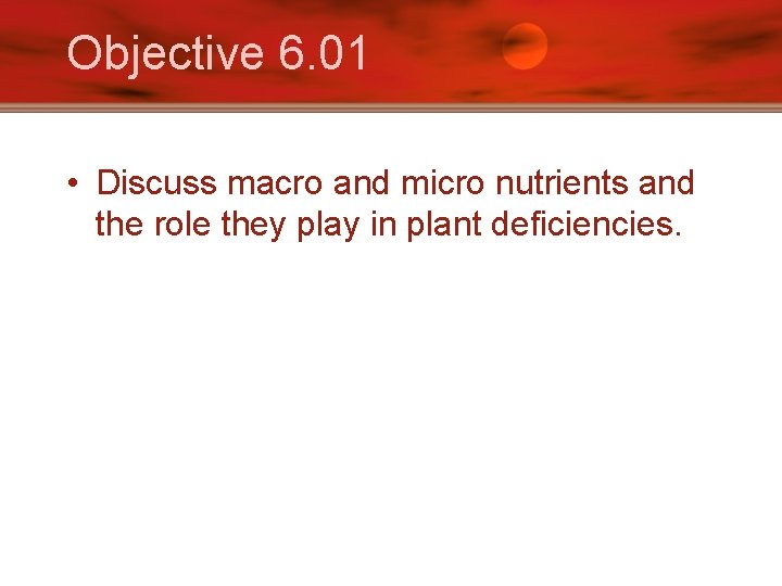 Objective 6. 01 • Discuss macro and micro nutrients and the role they play