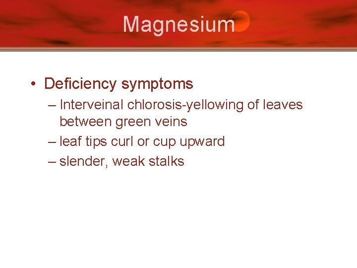 Magnesium • Deficiency symptoms – Interveinal chlorosis-yellowing of leaves between green veins – leaf