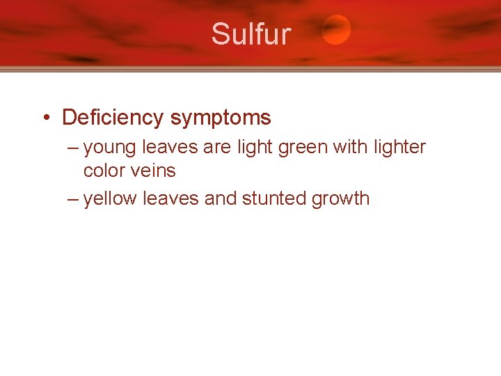 Sulfur • Deficiency symptoms – young leaves are light green with lighter color veins