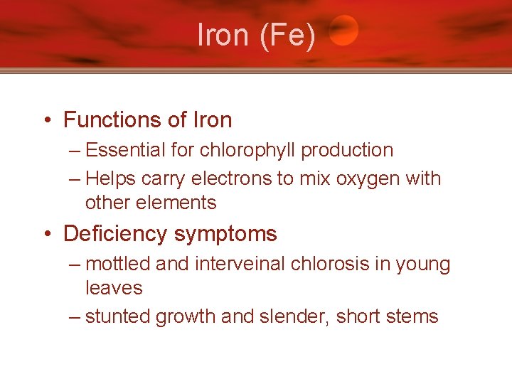 Iron (Fe) • Functions of Iron – Essential for chlorophyll production – Helps carry