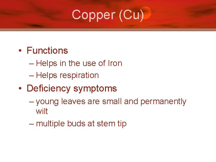 Copper (Cu) • Functions – Helps in the use of Iron – Helps respiration