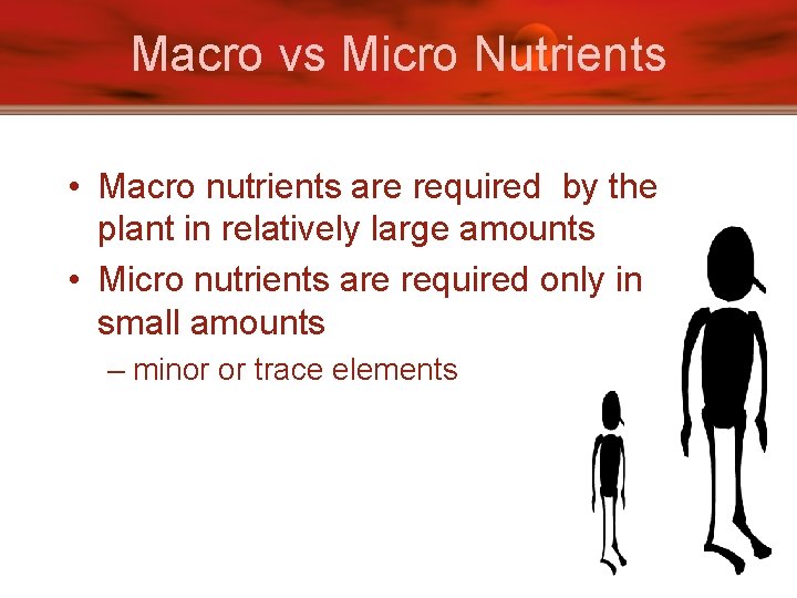 Macro vs Micro Nutrients • Macro nutrients are required by the plant in relatively