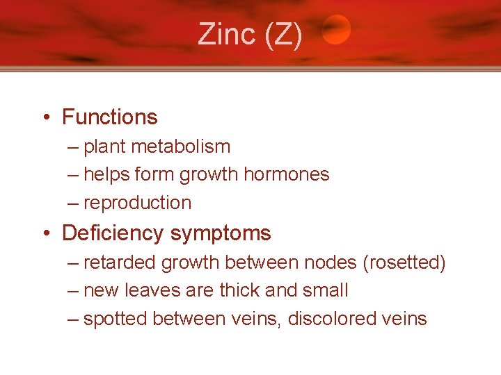 Zinc (Z) • Functions – plant metabolism – helps form growth hormones – reproduction