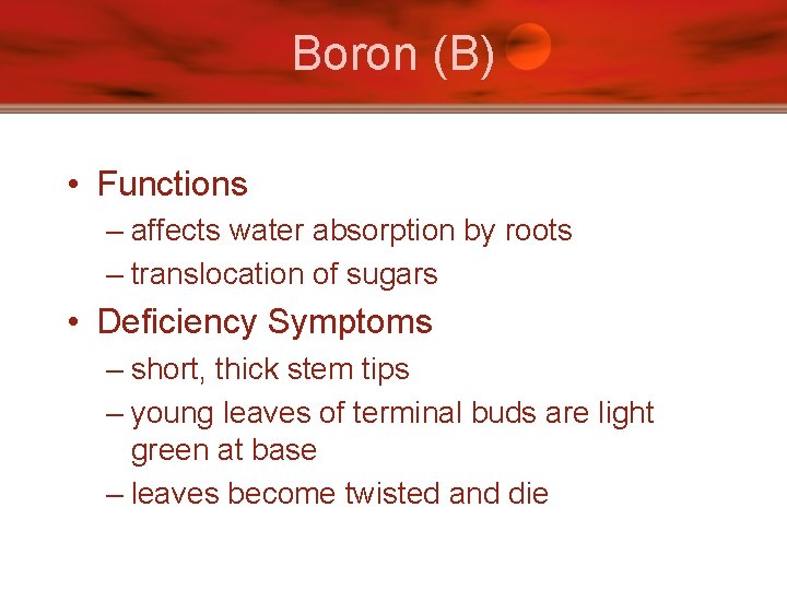 Boron (B) • Functions – affects water absorption by roots – translocation of sugars