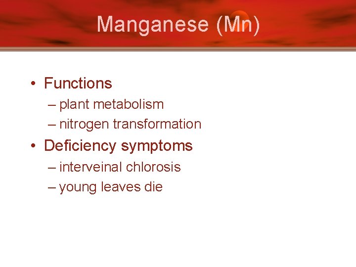 Manganese (Mn) • Functions – plant metabolism – nitrogen transformation • Deficiency symptoms –