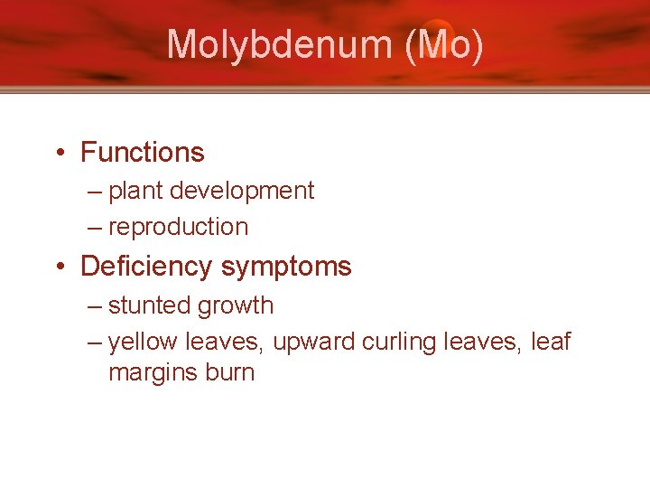 Molybdenum (Mo) • Functions – plant development – reproduction • Deficiency symptoms – stunted