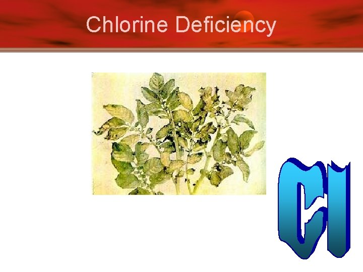 Chlorine Deficiency 