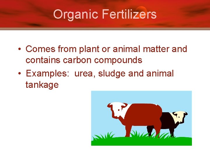 Organic Fertilizers • Comes from plant or animal matter and contains carbon compounds •