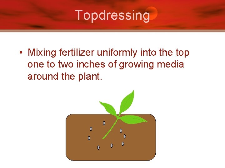Topdressing • Mixing fertilizer uniformly into the top one to two inches of growing